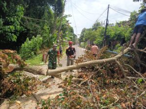 Margomulyo Tanggap Bencana: Sinergi Lintas Sektor Atasi Dampak Angin Kencang